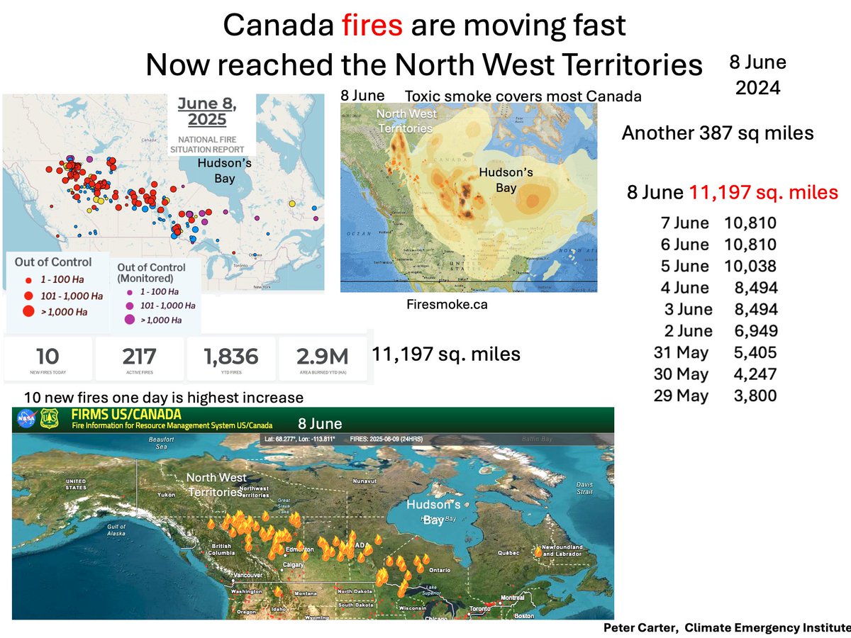 Peter D Carter tweet media