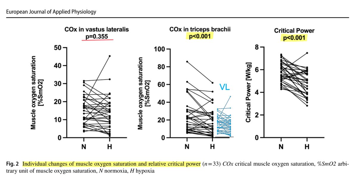 Muscle O₂ saturation plateaus during a 3min all-out cycling test at the same values in the VL, but is lower in triceps, during hypoxia vs normoxia. Greater drops in females &gt; males.

Can systemic intensity be detected in "lower metabolic priority" non-locomotor muscles?