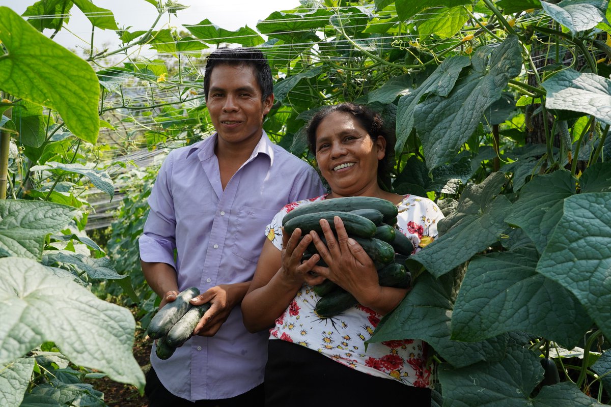 WFP_SV's tweet image. Niños que aprenden 📚, adultos que producen 🍅 y comunidades que prosperan 🌱

La buena nutrición es la base para que los niños puedan aprender y los adultos trabajar con energía para construir comunidades más fuertes 🥗💪
