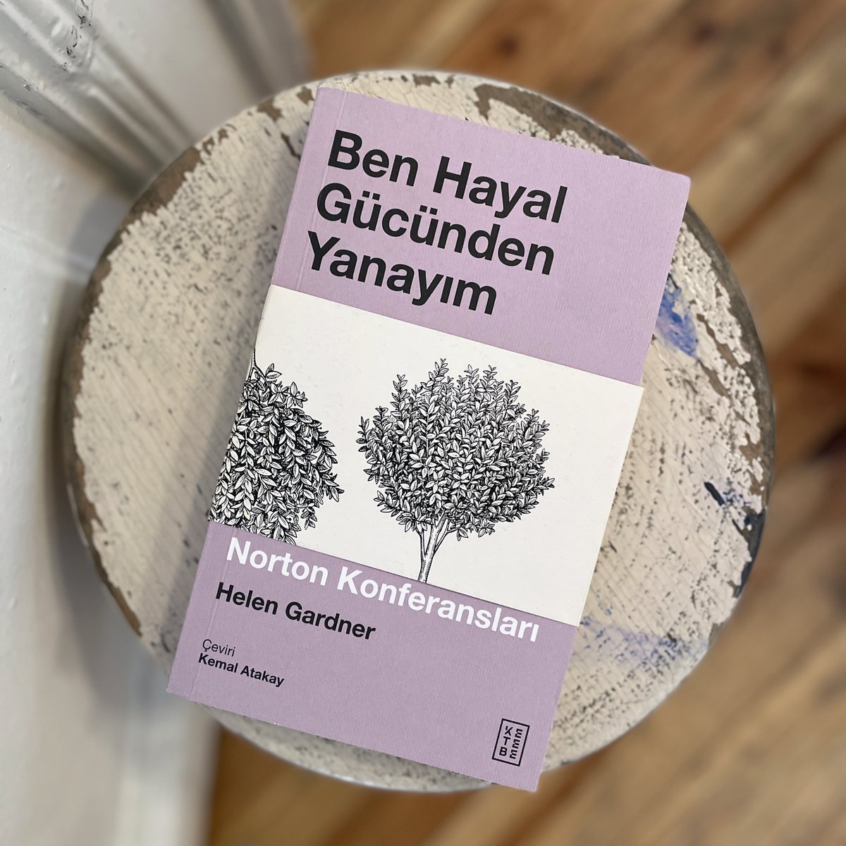 📕 Geleneksel edebi öğretinin güçlü savunucusu ve edebiyat araştırmacısı Helen Gardner, Ben Hayal Gücünden Yanayım’da mevcut edebi eleştiri eğilimine ve aşırı yoruma karşı tavrını etkili ve samimi anlatıyla ortaya koyuyor...