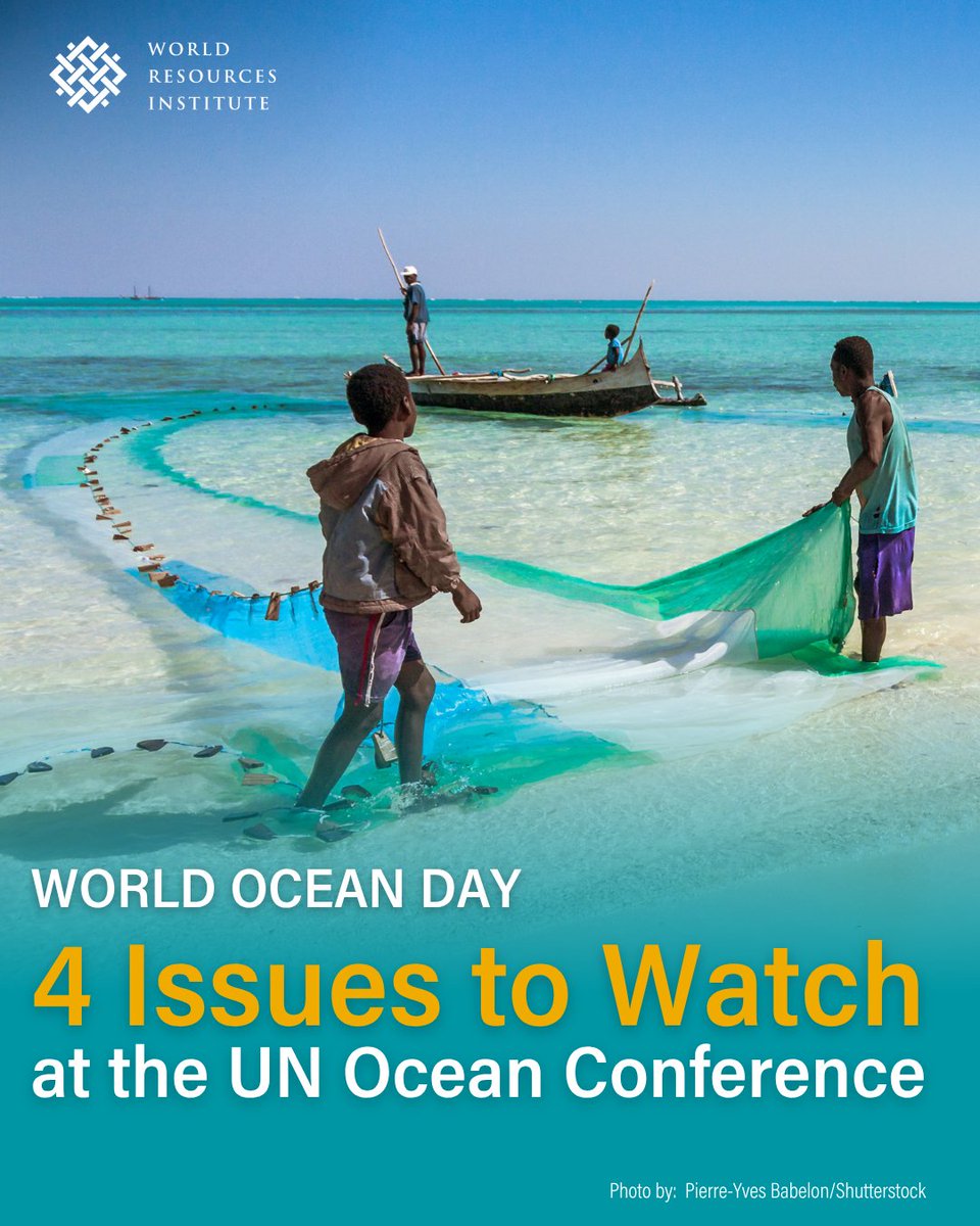 🌊It’s the ocean’s criticality that brings world leaders together for the third UN Ocean Conference from June 9th-13th.

Key areas from <a href="/WRIOcean/">WRI Ocean</a> that need to be addressed for the 2025 UN Ocean Conference to serve as a turning point for the ocean ➡️ go.wri.org/un-ocean-conf-…