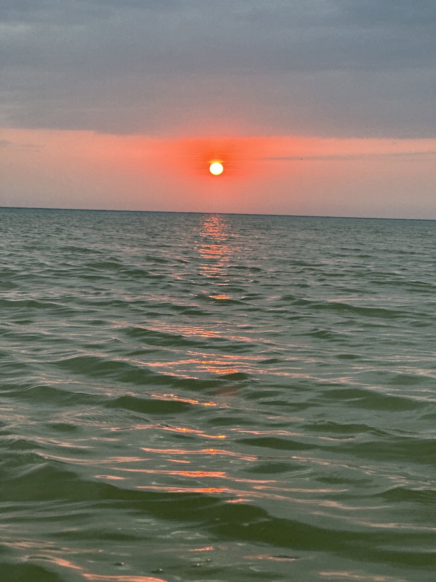 En el marco del Día Mundial de los Océanos, recordamos la importancia de proteger los mares que cubren más del 70% del planeta, generan más del 50% del oxígeno que respiramos y albergan cerca del 80% de la vida en la Tierra.

Sin embargo, nuestros océanos enfrentan amenazas