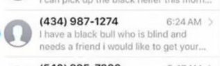 This is the funniest 🤣