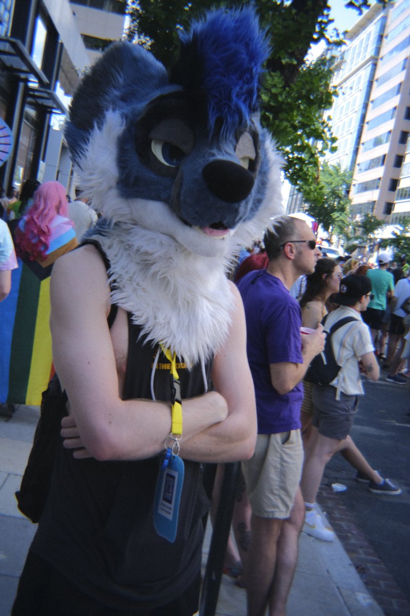 🐶✨️Star✨️🏳️🌈 (@staradder8) on Twitter photo I had a really great time at DC Pride!
Got some really amazing photos thanks to <a href="/dogpeel/">Yasakit Zagurren 🔜 MP FSF FP</a>  
#gay #Pride I had a really great time at DC Pride!
Got some really amazing photos thanks to <a href="/dogpeel/">Yasakit Zagurren 🔜 MP FSF FP</a>  
#gay #Pride