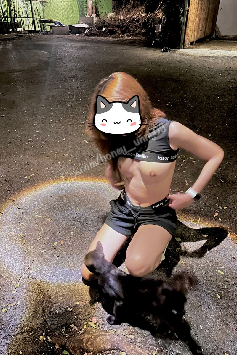 🐱💕ในภาพมีแมวกี่ตัวววว #ป่าไผ่ 🎋