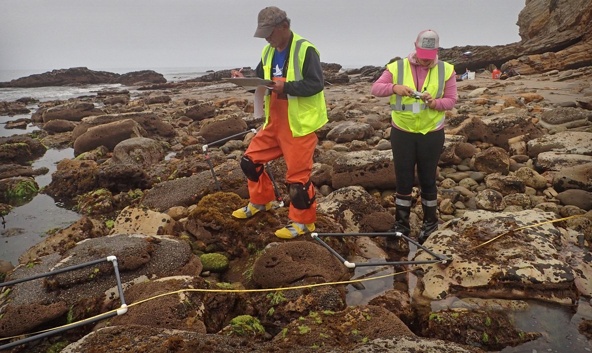 NOAA's Office of Response and Restoration (OR&R) (@noaacleancoasts) on Twitter photo When habitats and wildlife are injured by pollution, people often lose services these resources provide, like:
š¶ recreation
āļø storm protection
š clean water
<a href="/NOAA/">NOAA</a> quantifies these injuries and charts a path to restoring the services that were lost. darrp.noaa.gov/economics/econ⦠When habitats and wildlife are injured by pollution, people often lose services these resources provide, like:
š¶ recreation
āļø storm protection
š clean water
<a href="/NOAA/">NOAA</a> quantifies these injuries and charts a path to restoring the services that were lost. darrp.noaa.gov/economics/econā¦