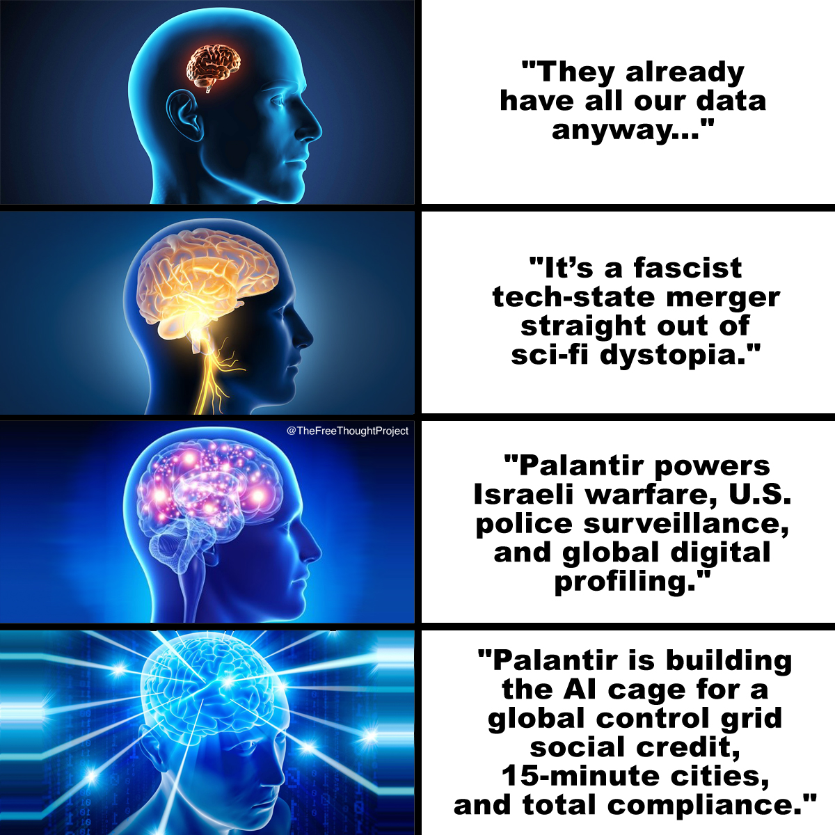 The real redpill is realizing Palantir isn’t just watching you, it’s engineering your future.