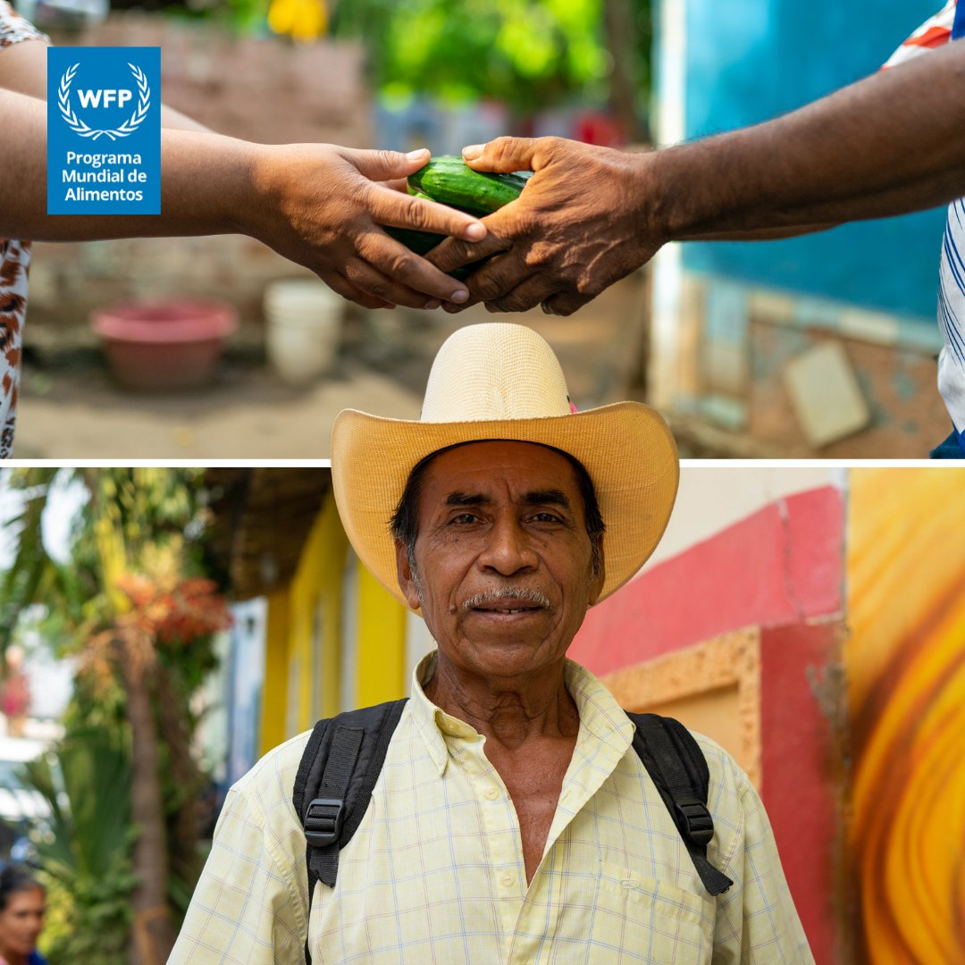 WFP_SV's tweet image. 👩‍🌾🧑‍🌾⏩🌱⏩🍅
¡Los pequeños agricultores convierten la tierra en alimentos!

WFP 🇸🇻 reconoce el trabajo y esfuerzo de todas las personas agricultoras que, con sus manos, alimentan a las comunidades de El Salvador 💙