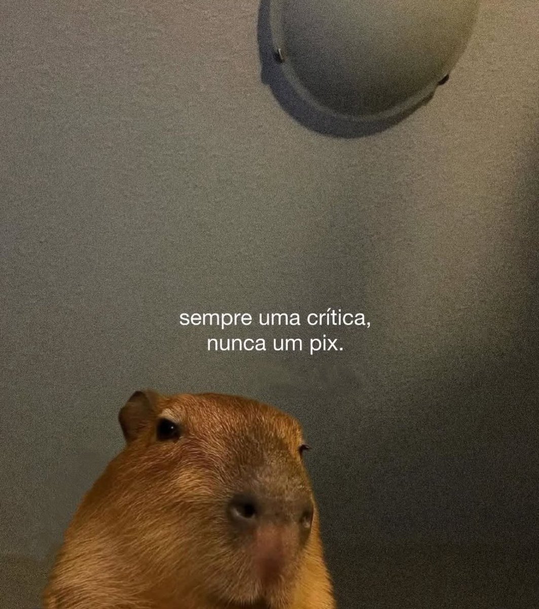 pantynova (@pantynova) on Twitter photo 