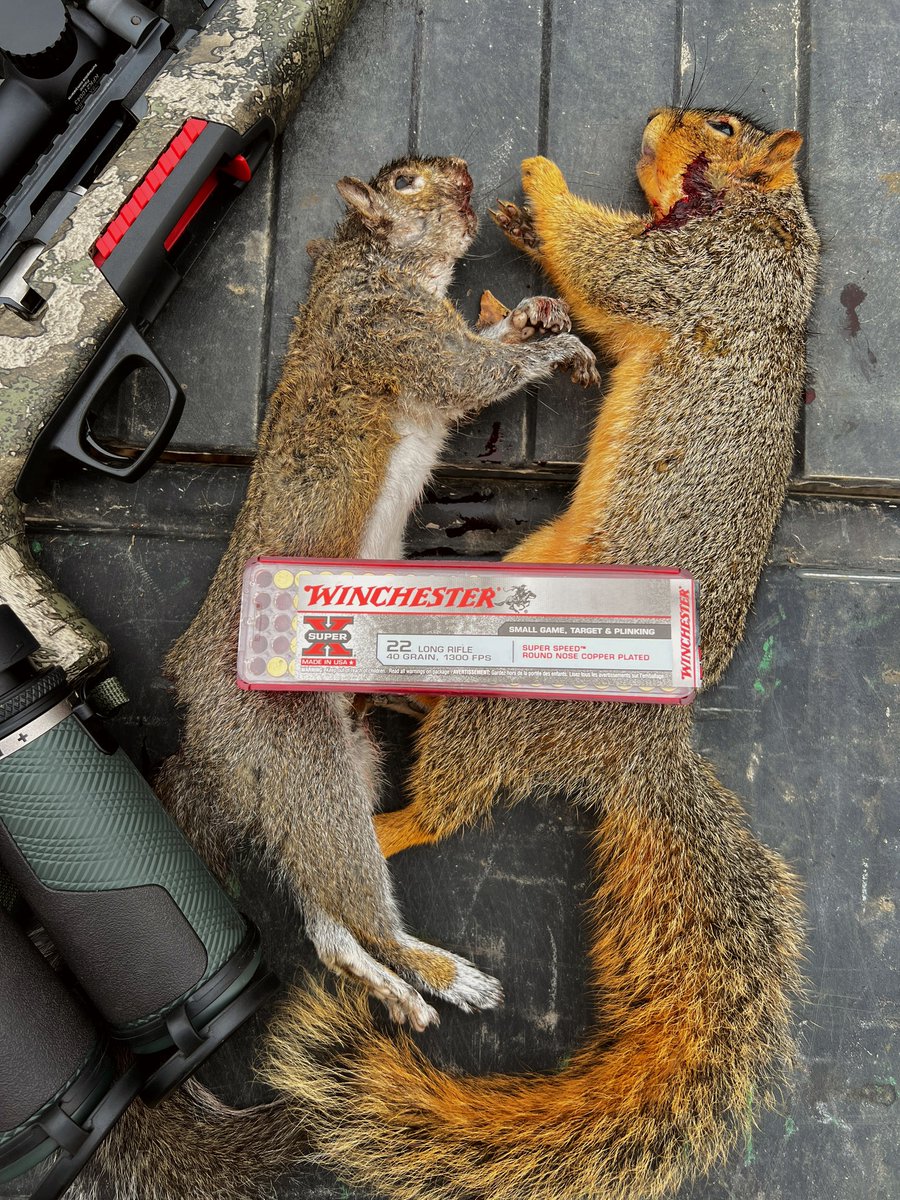 GrowingDeer.tv tweet media