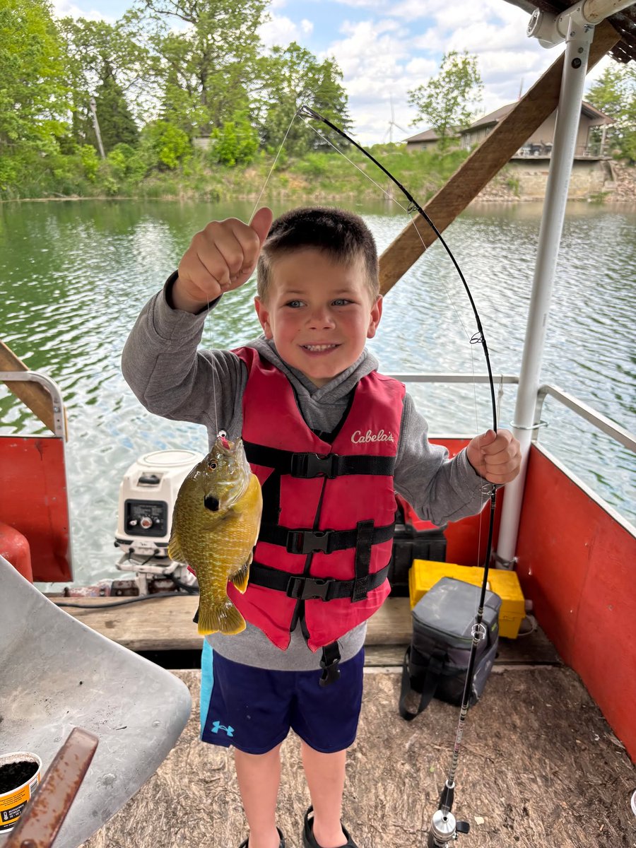 GrowingDeer.tv tweet media