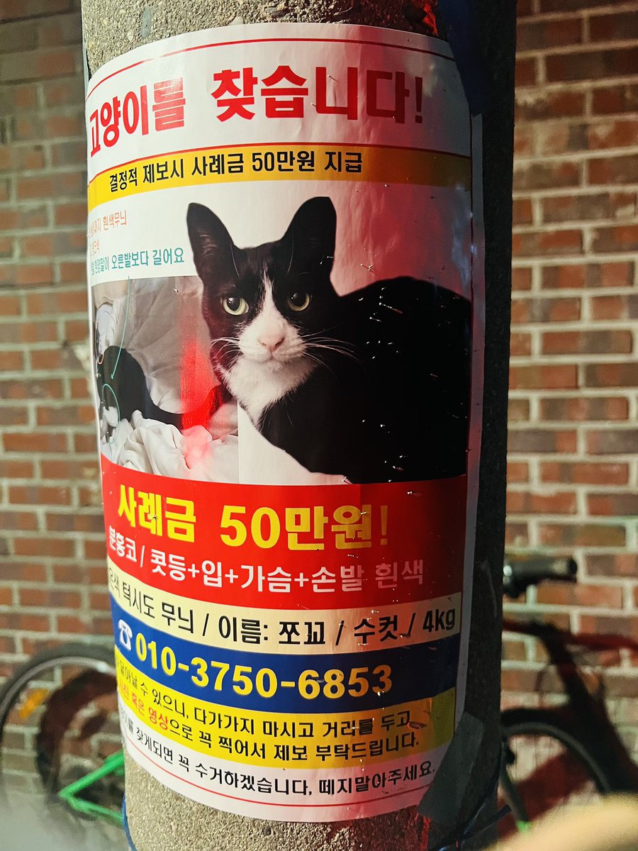 노원구 분들 도움!