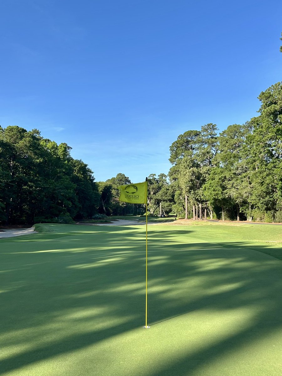 CaledoniaGolfFi's tweet image. 👀 Back to Tee on Par 3 3rd on a “Mike Strantz Monday” 😎 @GolfCrusade @PlayGolfMB @HammockCoastSC @MBTrips #mikestrantzmonday #mikestrantzdesign #mikestrantz #myrtlebeachgolf #myrtlebeachgolflive #pawleysisland
