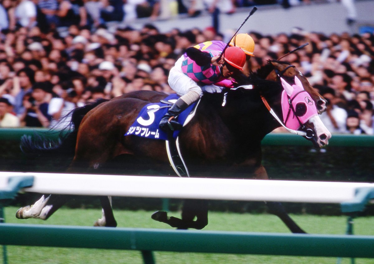 現地単勝　宝塚記念2002年 ダンツフレーム100円おまけ1枚 2026年最新】Yahoo!オークション -宝塚記念 馬券の中古品・新品・未