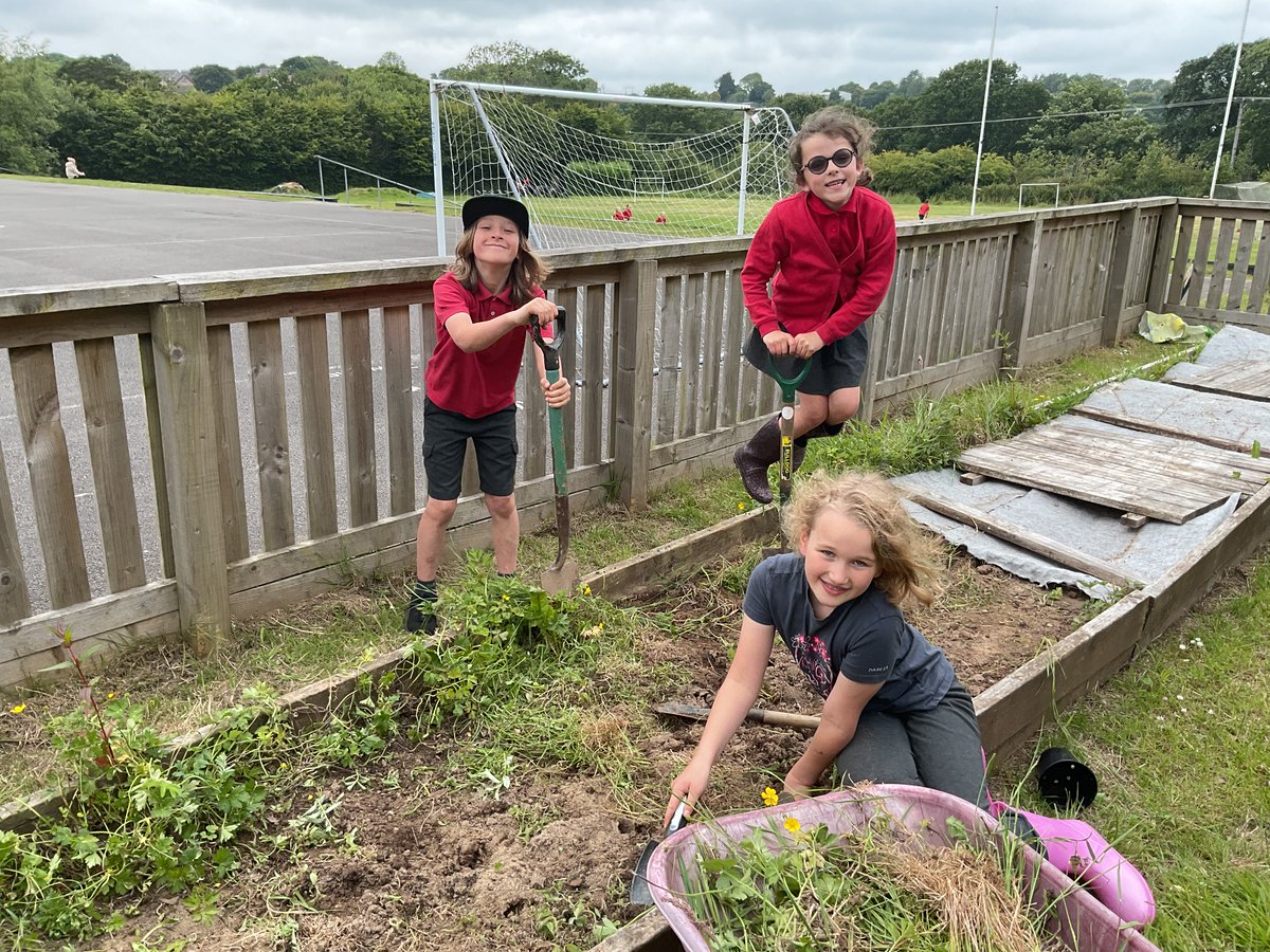 Ysgol Arberth (@narberthschool) on Twitter photo Allotment club π±Clwb garddio πͺ
<a href="/EcoSchoolsWales/">Eco-Schools Wales</a> <a href="/SchoolsPembs/">Blant Ysgolion Sir Benfro/Children & Schools Pembs</a> Allotment club π±Clwb garddio πͺ
<a href="/EcoSchoolsWales/">Eco-Schools Wales</a> <a href="/SchoolsPembs/">Blant Ysgolion Sir Benfro/Children & Schools Pembs</a>