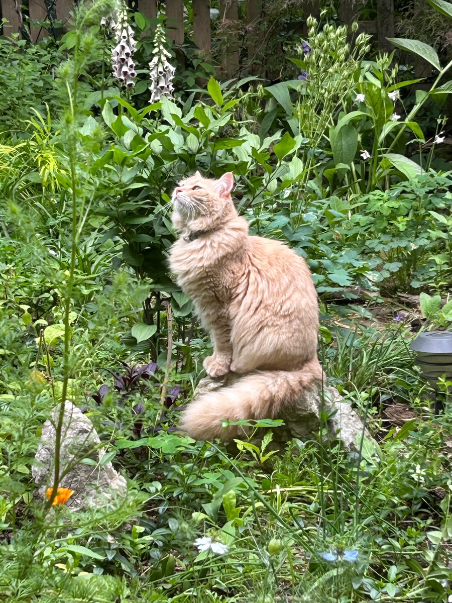 There are still good things in the world. 

Many things.

But someday, perhaps soon, you must decide whether you’re willing to fight for them.