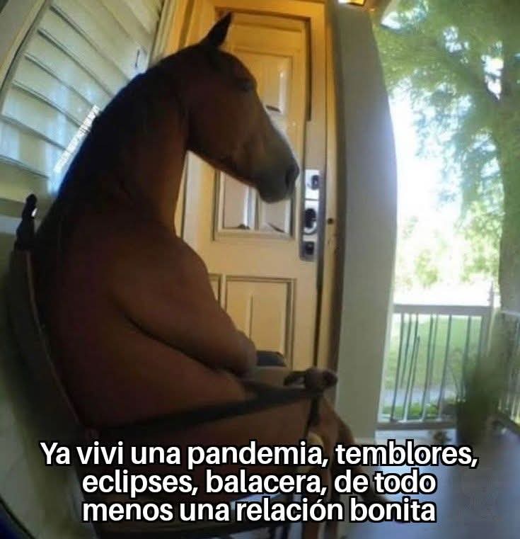 Nasty Poet (@nxstypxet) on Twitter photo 