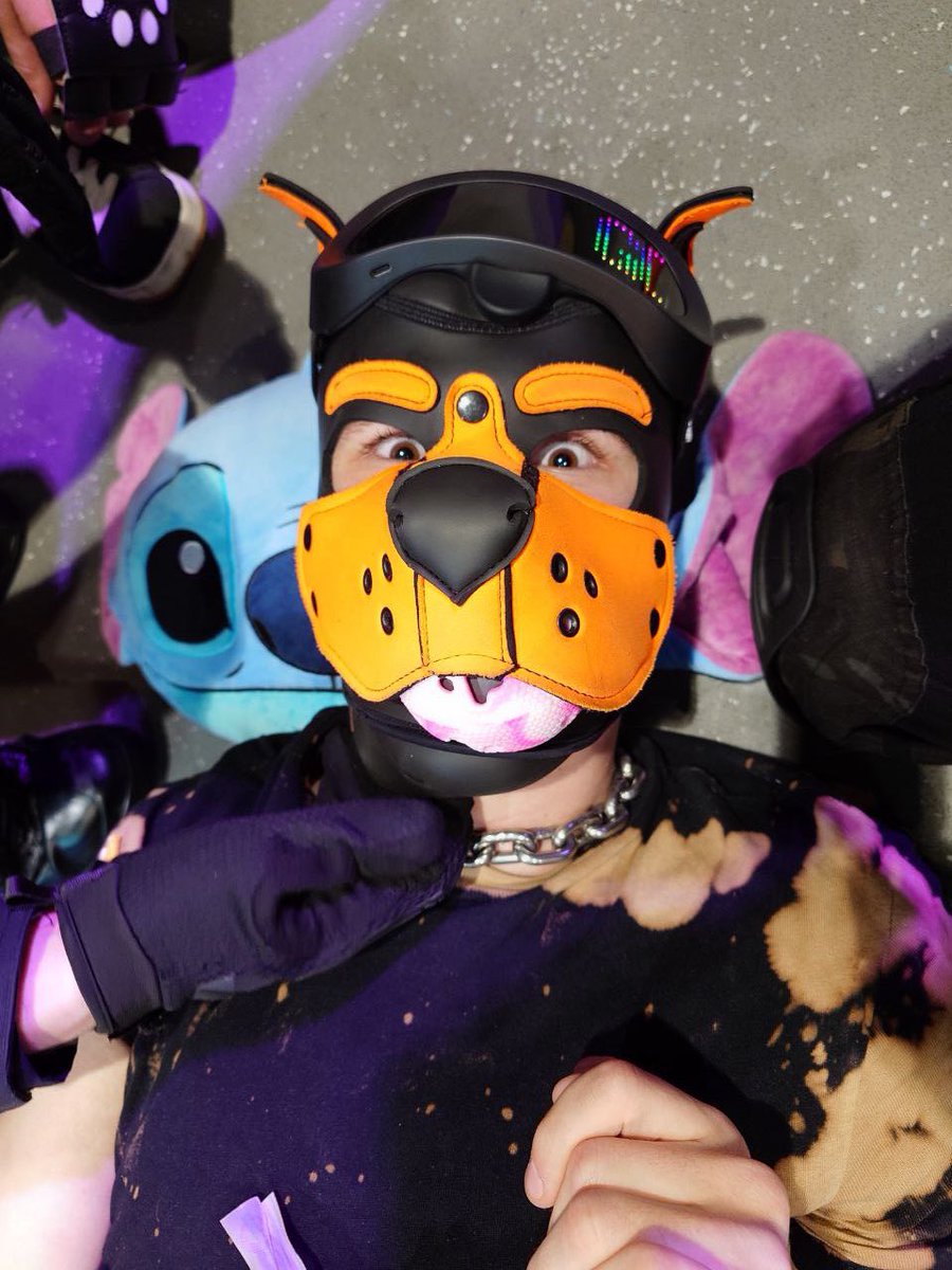 What are you doing if you haven’t joined pupsassemble.com