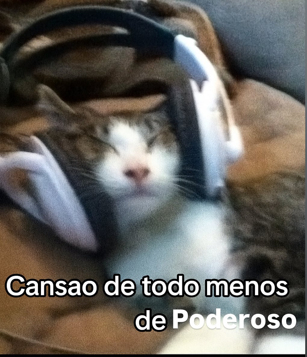 carmeliiru's tweet image. Buenos días muchachos, gran semana a todos ✌🏼✨ #PoderosoEnLlamas