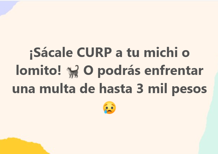 adnnoticiasmx's tweet photo. Te decimos cuál es la fecha límite para tramitar la nueva CURP o pagarás una multa de miles de pesos 💵😭 https://t.co/yuK0Eq7QJj