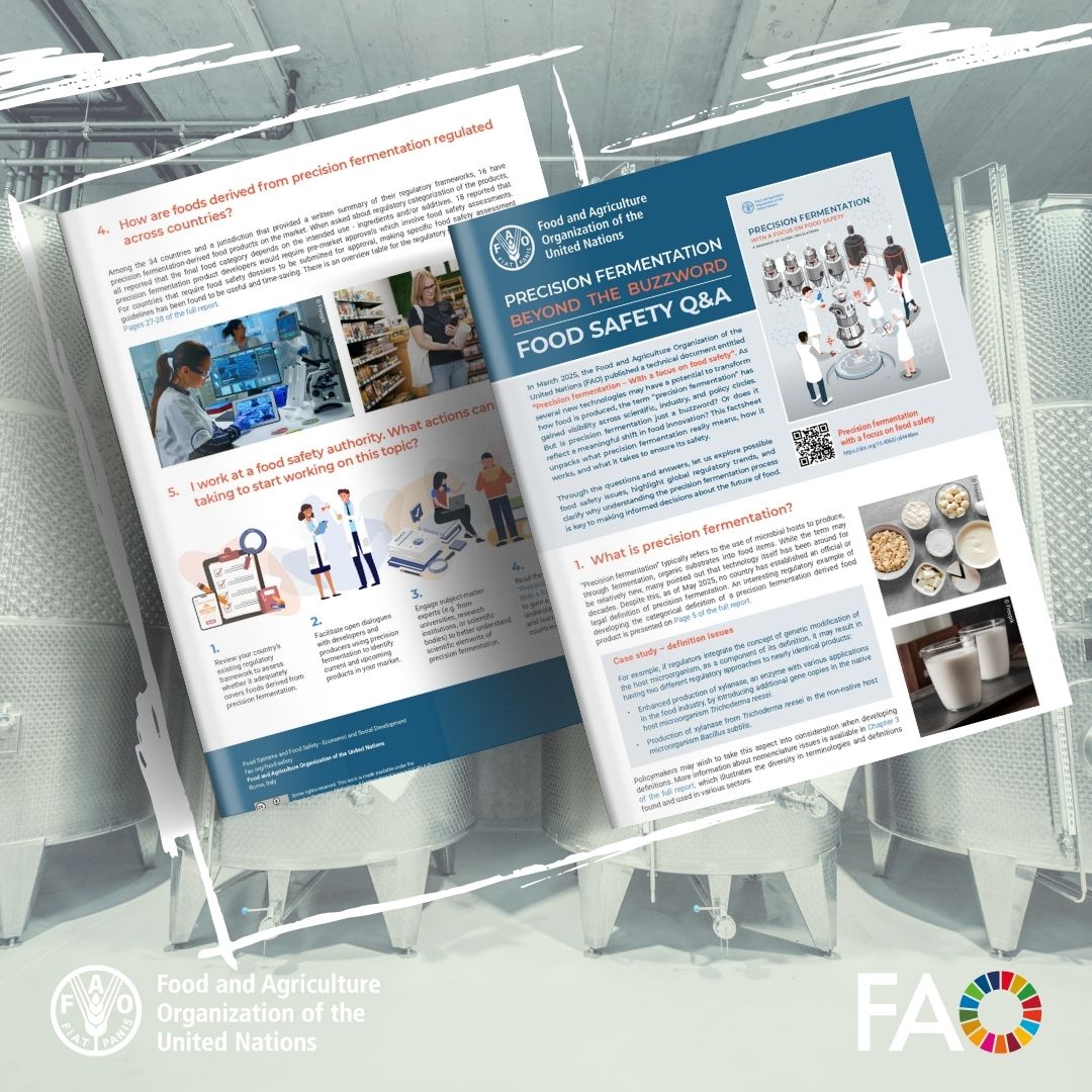 Codex Alimentarius (@faowhocodex) on Twitter photo 🗒️ | #OutNow | A 🆕 3-page <a href="/FAO/">Food and Agriculture Organization</a> factsheet on precision fermentation breaks down the buzzword into a few simple questions, offering a straightforward introduction and reading key to the previously released full publication.
➕ℹ️➡️ bit.ly/449cfl6
#FoodSafety 🗒️ | #OutNow | A 🆕 3-page <a href="/FAO/">Food and Agriculture Organization</a> factsheet on precision fermentation breaks down the buzzword into a few simple questions, offering a straightforward introduction and reading key to the previously released full publication.
➕ℹ️➡️ bit.ly/449cfl6
#FoodSafety