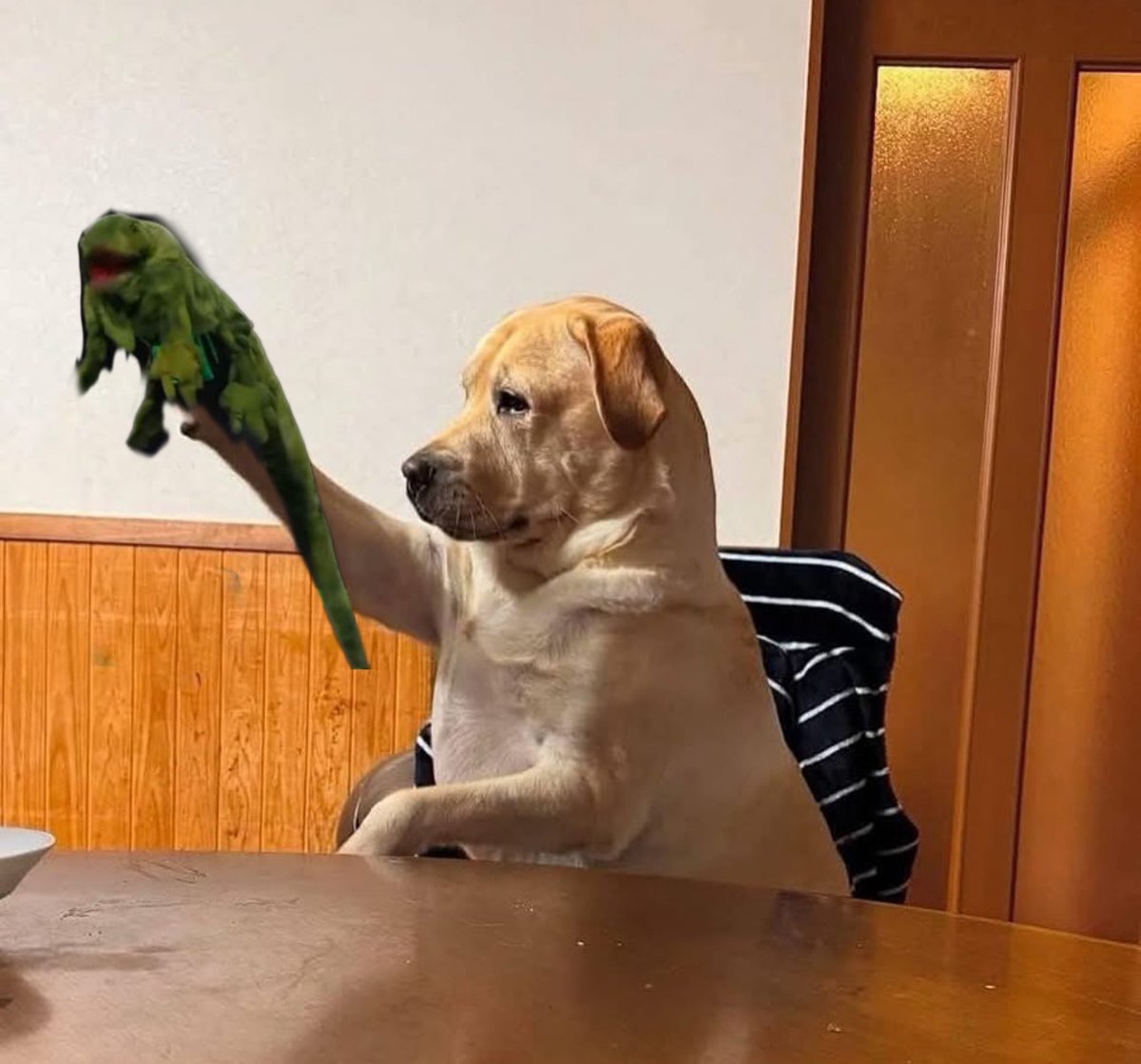 Mi perro está así desde el sábado, es normal?