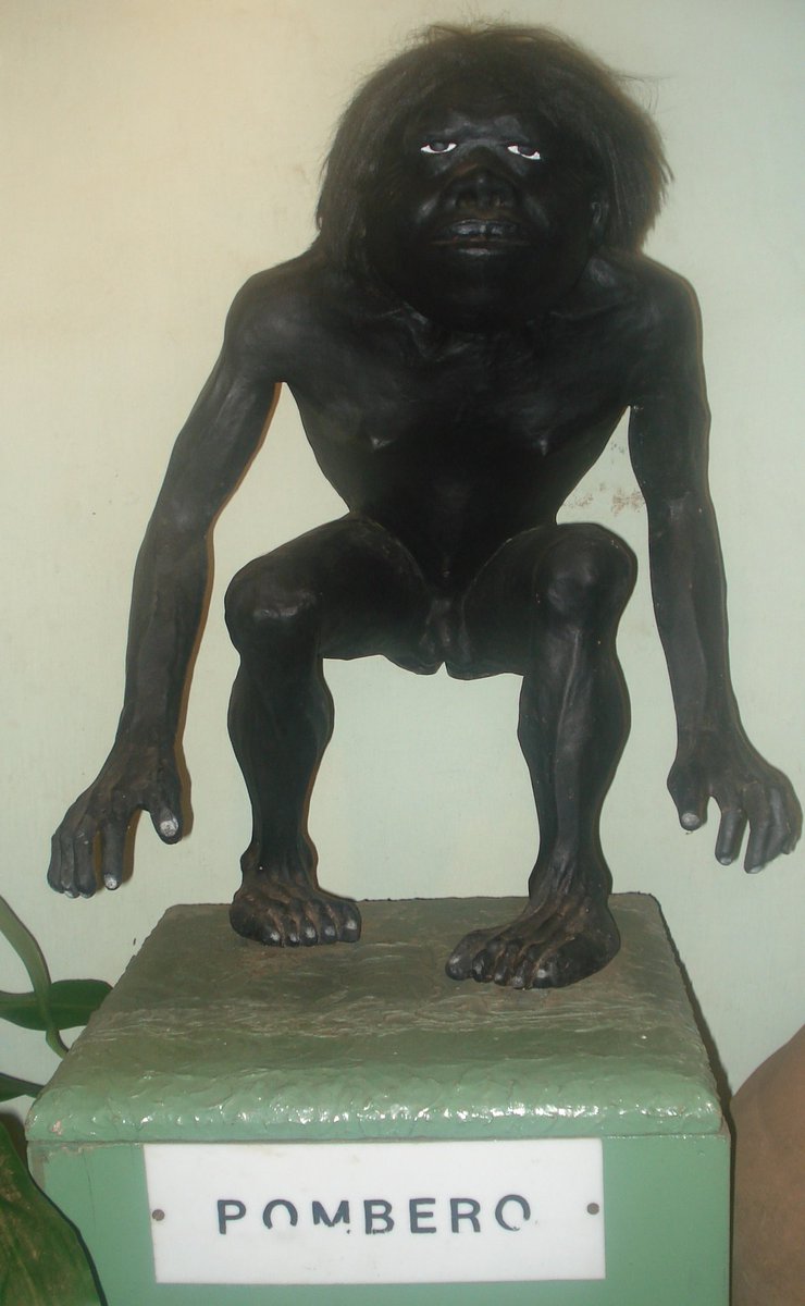 La historia más impactante de pie grande: noooooo yo lo ví y se fue corriendo

La historia más tranquila del pomberito: amigo me culió