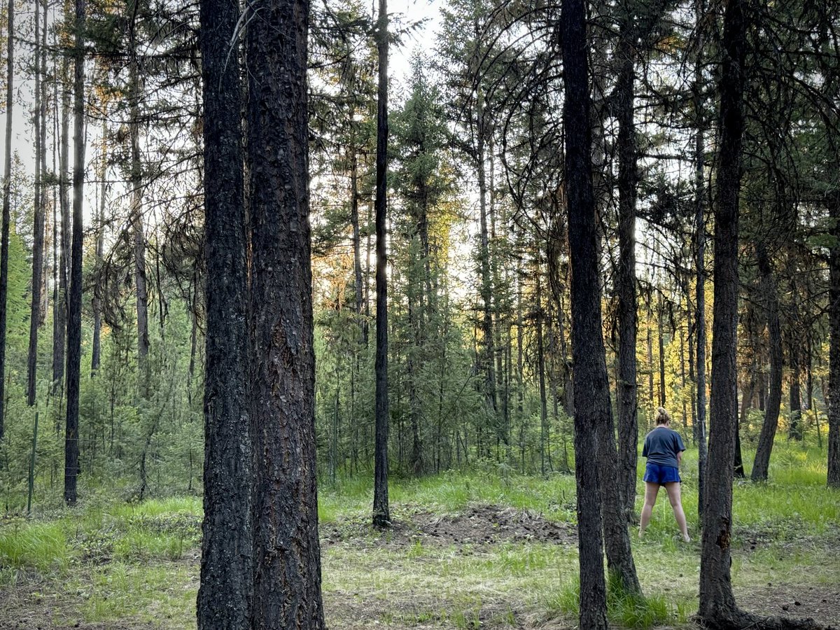 TheTinkleBelle's tweet photo. Yep, caught us peeing in the woods again. #PeeFree #Outdoors https://t.co/Ja8cbsIhyL