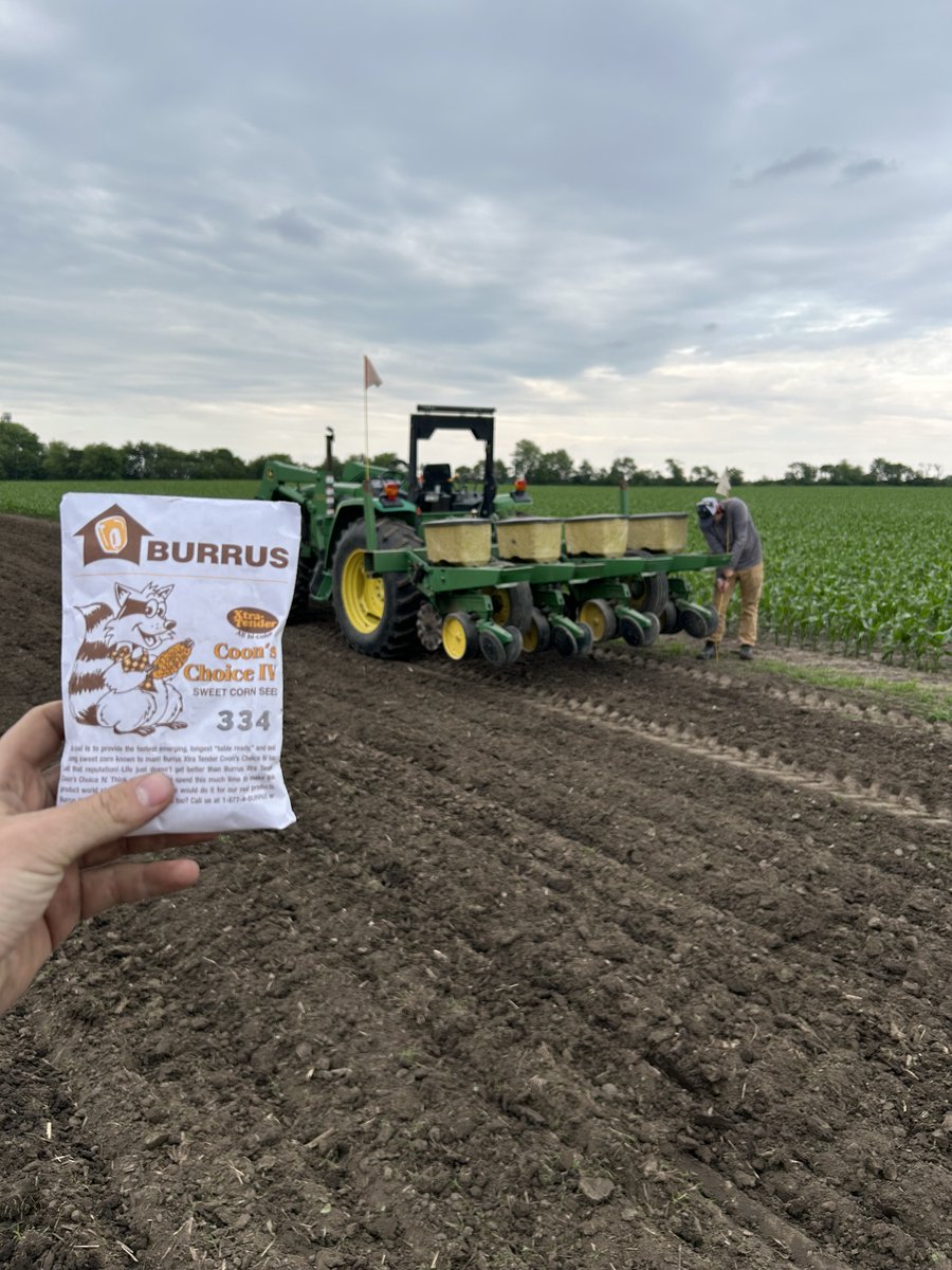 BurrusSeed's tweet image. 📸 #BurrusSeed intern Cazdin Weber: Last week, I helped put in some Coon&apos;s Choice sweet corn northwest of Champaign with Wyatt Muse #plant25 🦝🌽
