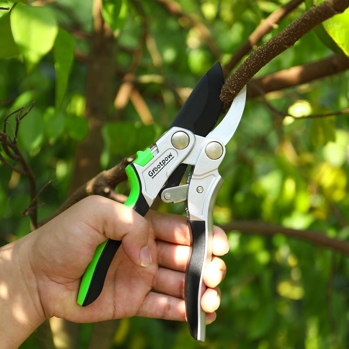 Premium Bypass Pruning Shears with Aluminum Build, Ultra Sharp SK5 Blades and Ergonomic Handles for Effortless Gardening

🌿 Enjoy a neat garden with 20% OFF these premium pruning shears today.

• Retail Price : $26.97
• Discounted Price : $21.58
• Promo code : 68FSMYL8
•