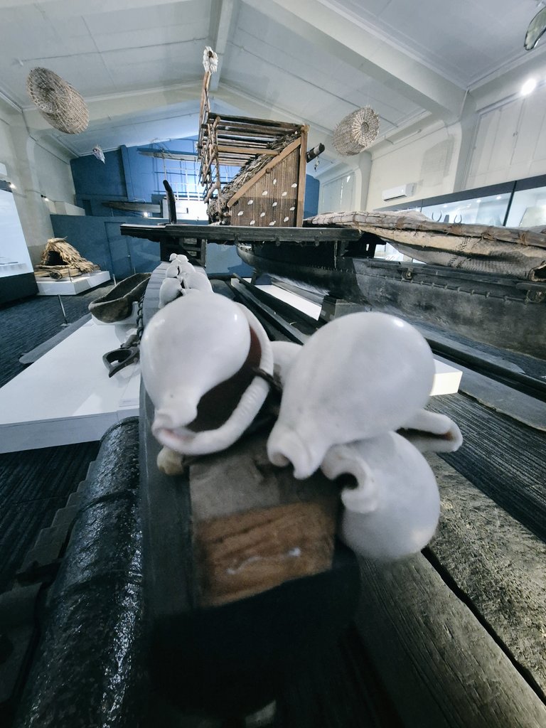 Fiji Museum tweet media