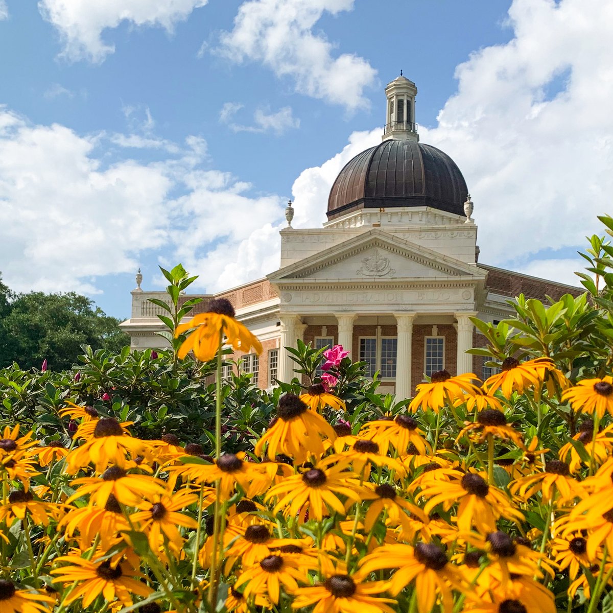 SouthernMiss's tweet image. We love it here 🫶