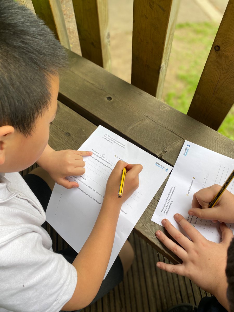 Hawthorn Primary School tweet media