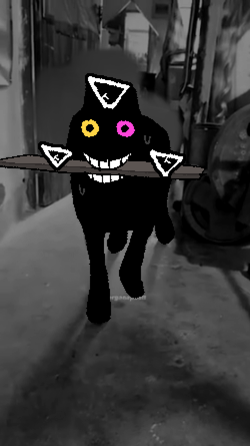 lex (@lexxiemow) on Twitter photo 