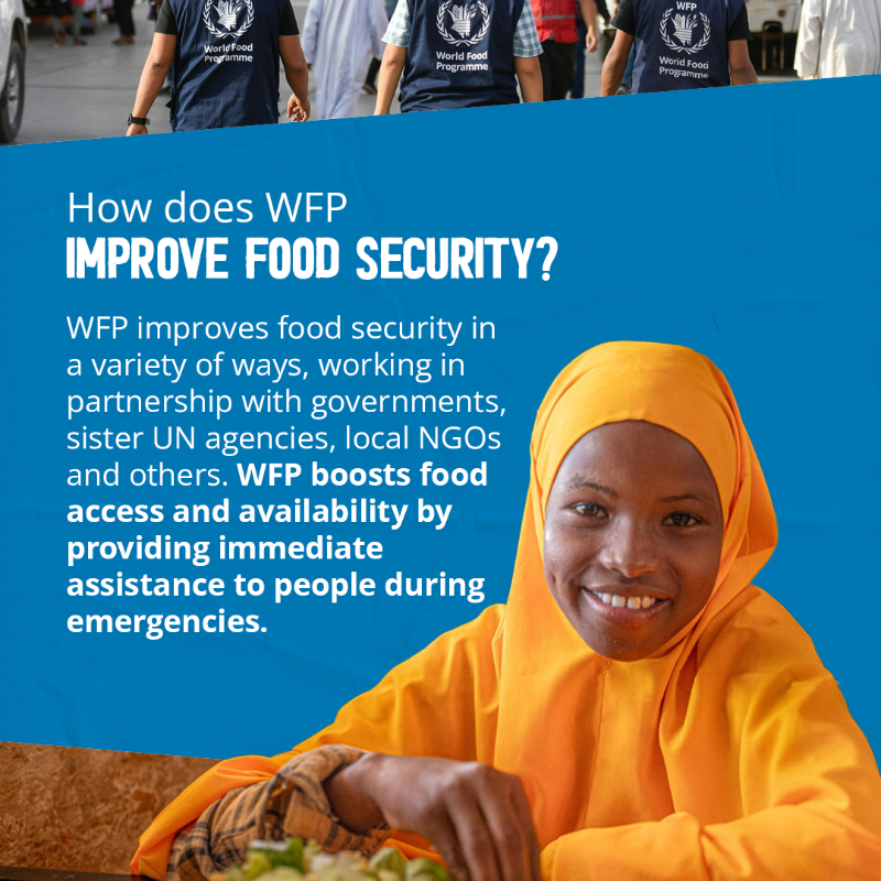 WFP's tweet photo. Without food security, families are forced to flee, tensions grow, and insecurity spreads.

🌍At least 319M people face acute food insecurity today. Tens of millions are at risk of extreme hunger.

What is food security - and how is WFP working to protect it? 👇