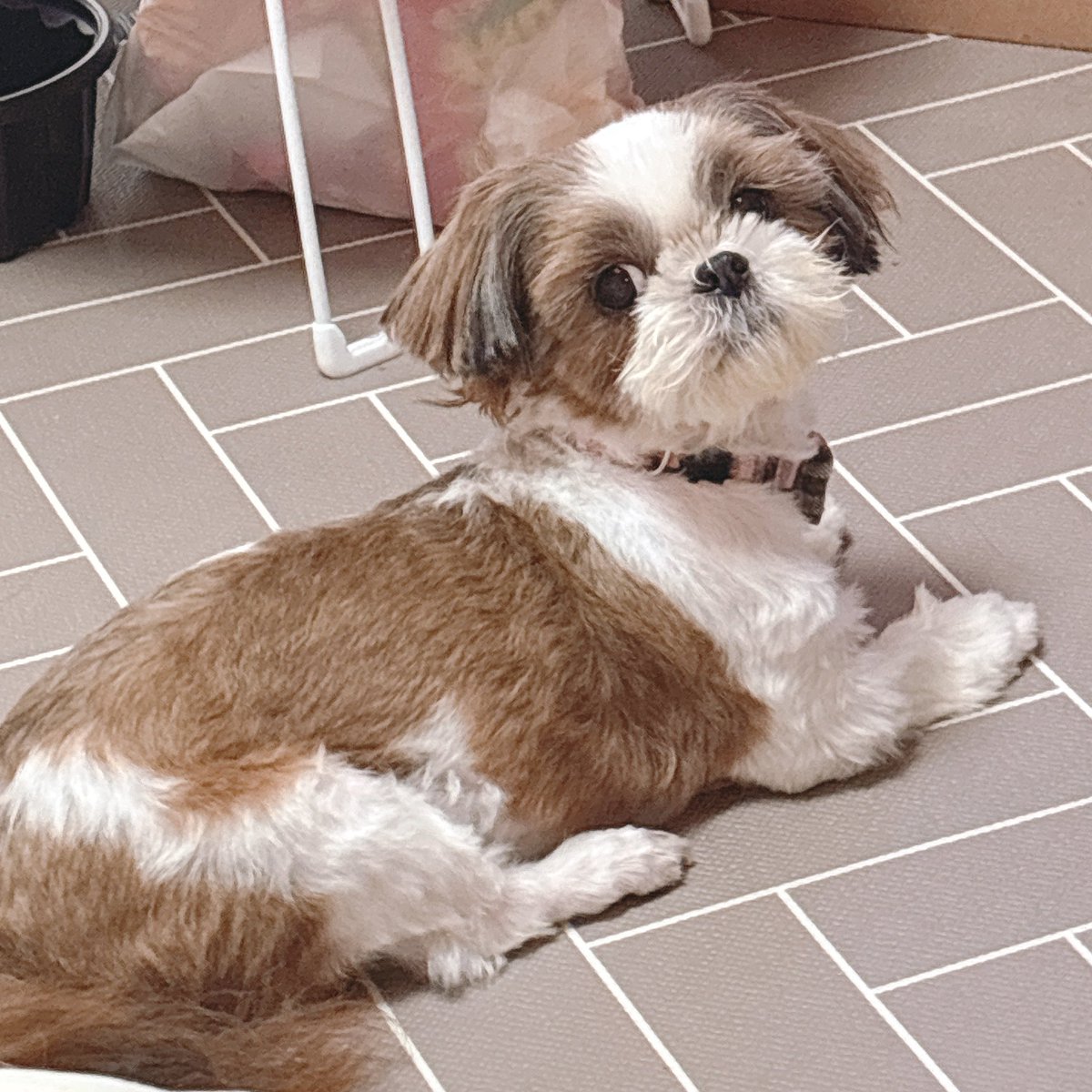 너무 귀엽게이써...