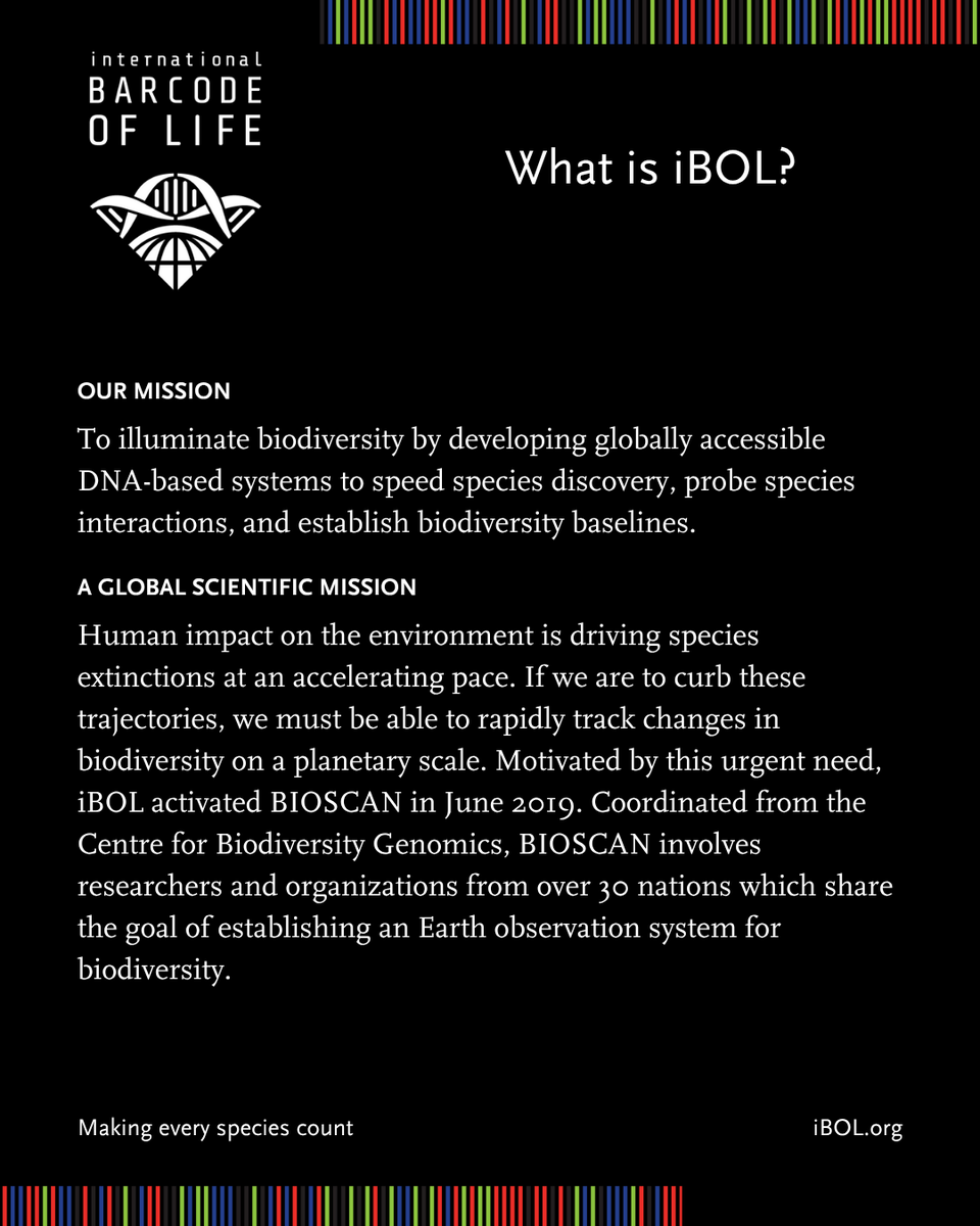 iBOL Consortium (@ibolconsortium) on Twitter photo ๐๐งฌ Join us in our mission to accelerate species discovery, uncover species interactions, and establish a planetary biodiversity baseline to enable global biosurveillance.
Learn more: ๐ ibol.org
#Biodiversity #Science #IlluminateBiodiversity #DNA ๐๐งฌ Join us in our mission to accelerate species discovery, uncover species interactions, and establish a planetary biodiversity baseline to enable global biosurveillance.
Learn more: ๐ ibol.org
#Biodiversity #Science #IlluminateBiodiversity #DNA