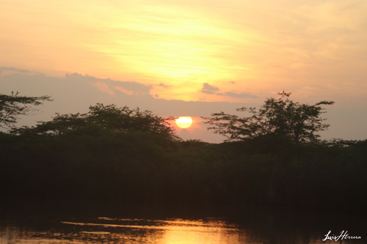 #AmaneceresGuajiros: Buenos dias Mundo, @postalesguajiras; del amanecer. #Laguajira; tierra de los Amaneceres irrepetibles. <a href="/seguidores/">seguidores</a> <a href="/destacar/">ISABEL FERNANDEZ AR</a>. <a href="/mincultura/">MinCultura Colombia</a>  <a href="/PROCOLOMBIACO/">PROCOLOMBIA</a>  <a href="/fonturcol/">Fontur Colombia</a>  <a href="/infopresidencia/">Presidencia Colombia 🇨🇴</a> <a href="/postales_col/">Postales de Colombia 🇨🇴</a> .