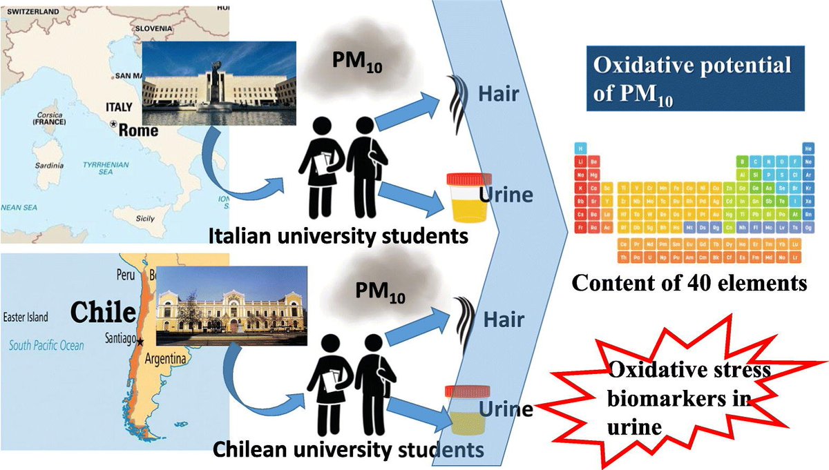 alexis_rebdo's tweet photo. 🇨🇱 Un estudio comparó la calidad del aire en estudiantes universitarios de Chile e Italia, y halló que los chilenos tenían mayores niveles de contaminación en cabello y orina, aumentando el estrés oxidativo, especialmente en mujeres.

Paper: https://t.co/Q1lRdCVudA https://t.co/WPfZ2MtW13