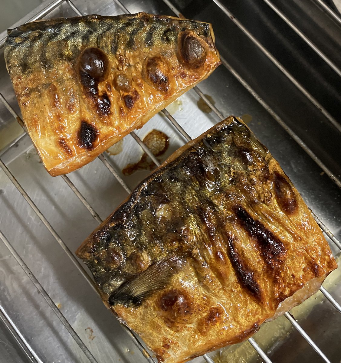 「"冷や汁"作ったことありますか？」って聞かれて、作ったことなかったから作った。

めっちゃ美味しかった。
味変に梅肉はあり。

通常は鯵らしいけど、私は鯖派！