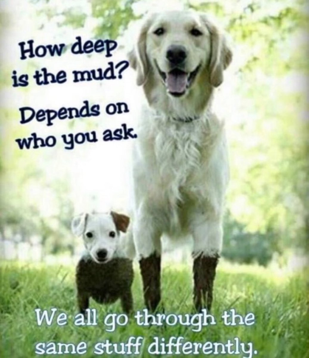 𐔌՞. .՞𐦯 tweet media