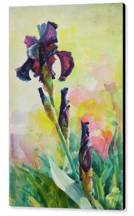 There are certain flowers that you wish would stay in bloom all year long, or at the very least, twice as long as they now do.

Purple Iris canvas print -- 2-steve-henderson.pixels.com/featured/purpl…

#flower #iris #spring #summer #art #artwork #purple #nature #garden