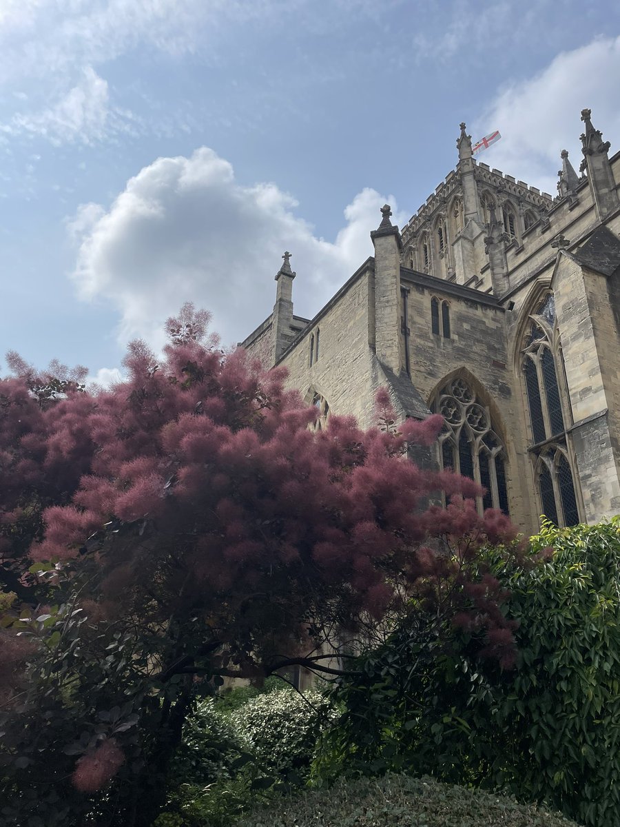 Chloe at Bristol Cathedral. The garden whilst small is beautiful and so unusual. We don’t take many photos inside churches but this war memorial was unusual and really beautiful.