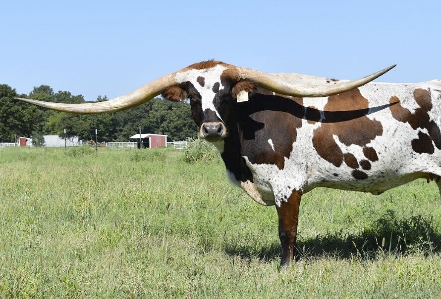 «Por lo menos no gobierna la derecha»