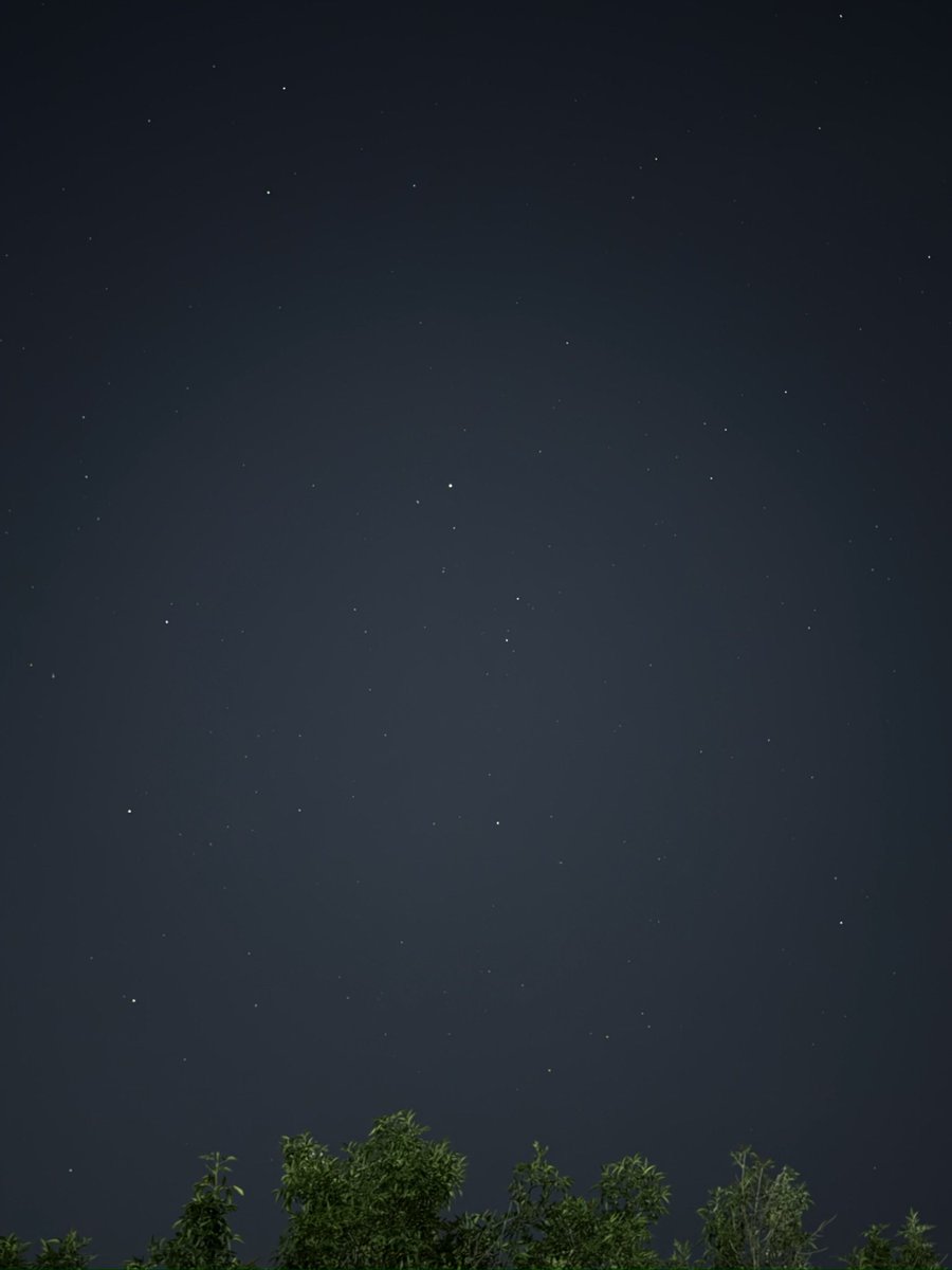 night walks

04.06.2025