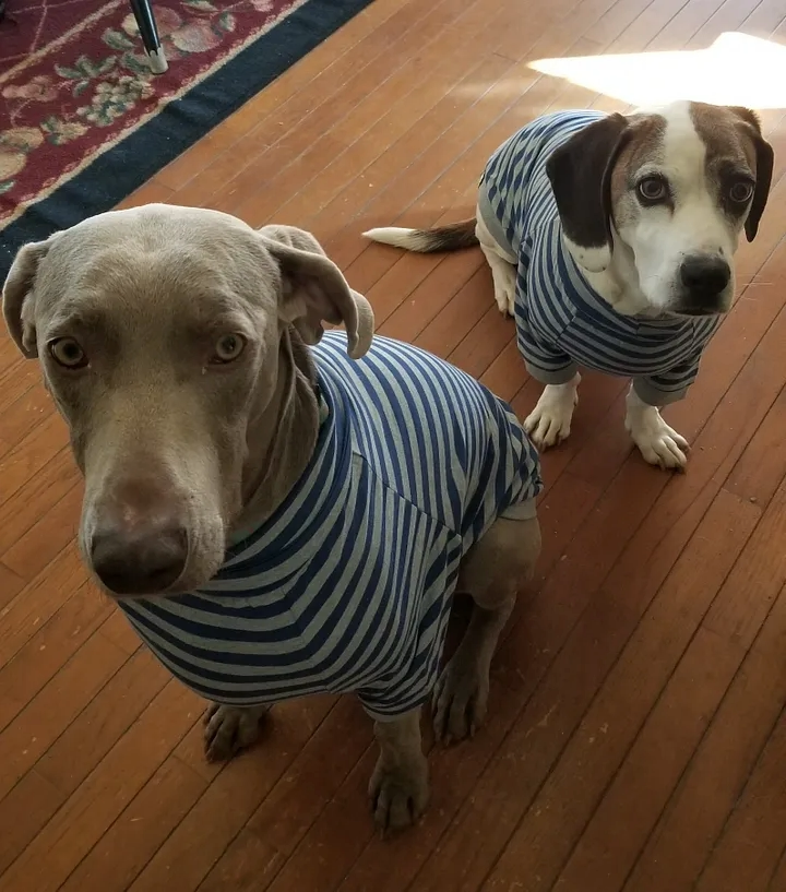 findingyourfire's tweet image. Coaching, Awesome, but Not Glamorous open.substack.com/pub/kathybrunn…