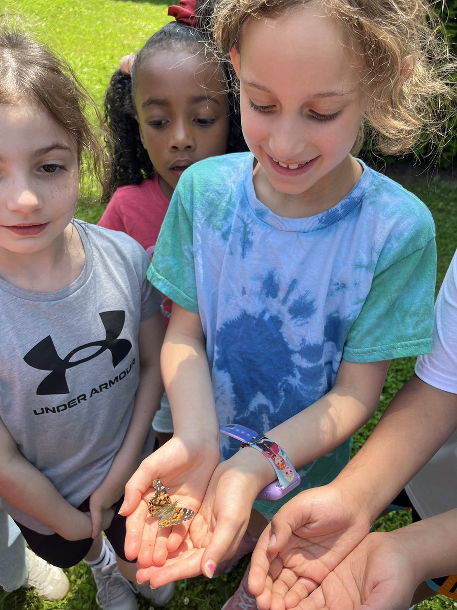 Ms. Oliff’s 1st Grade class at Memorial Elementary released freshly hatched butterflies! Students learned the lifecycle of butterflies and what valuable pollinators they are to our ecosystem. ❤️🦋💙

#paramuspride #memorialschoolparamus #butterflyrelease