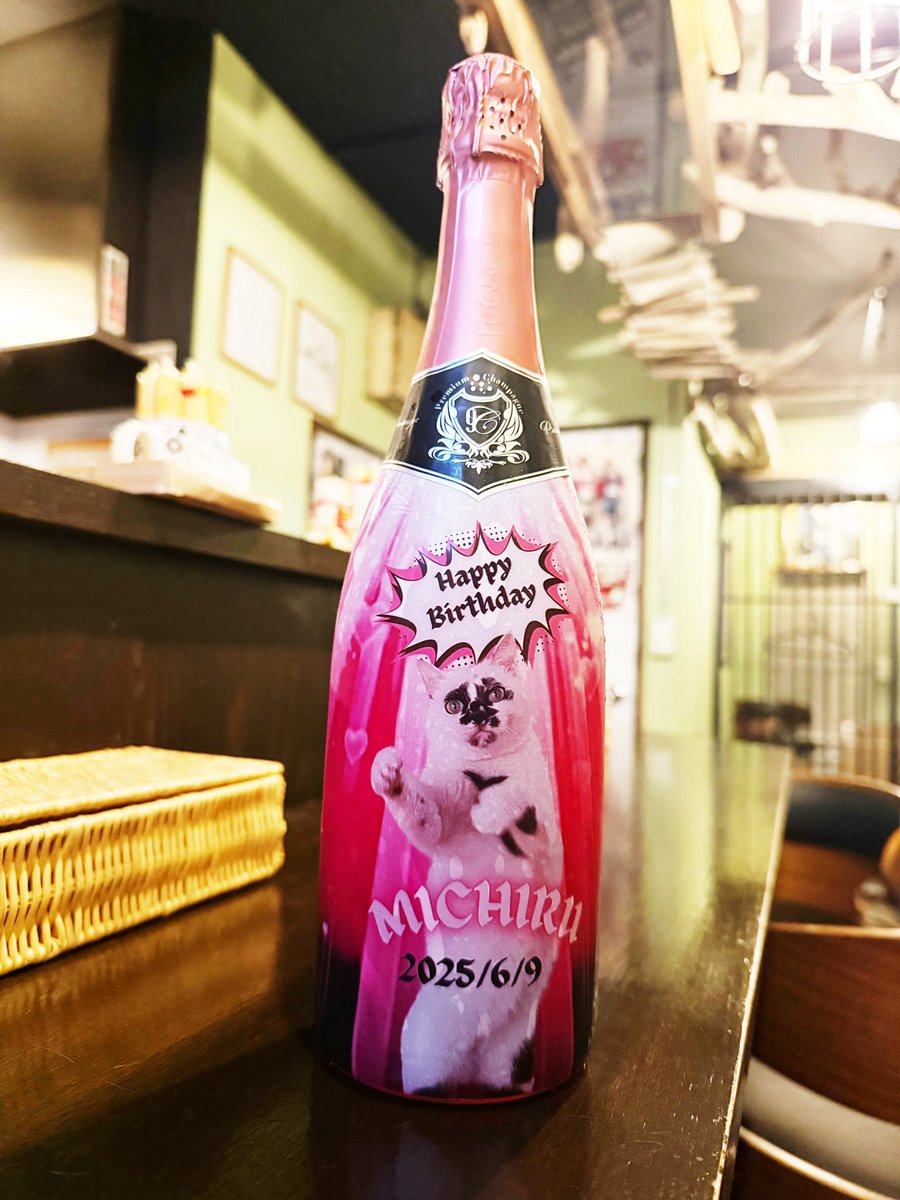 gym_tics's tweet photo. 今日はミチルちゃんのお誕生日ということで、Muddy Catさん(@muddycat_atami に馳せ参じました!✨☺️
一太郎くんの熱烈なファンサと、チラッやってきたテンテン様にご挨拶できて感激でした🤩
皆様も熱海にお越しの際はぜひMuddy Catへ!😸
#熱海
#muddycat https://t.co/uCllMf4JfJ