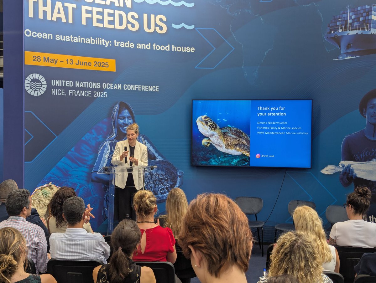 Matt 🌊 tweet media