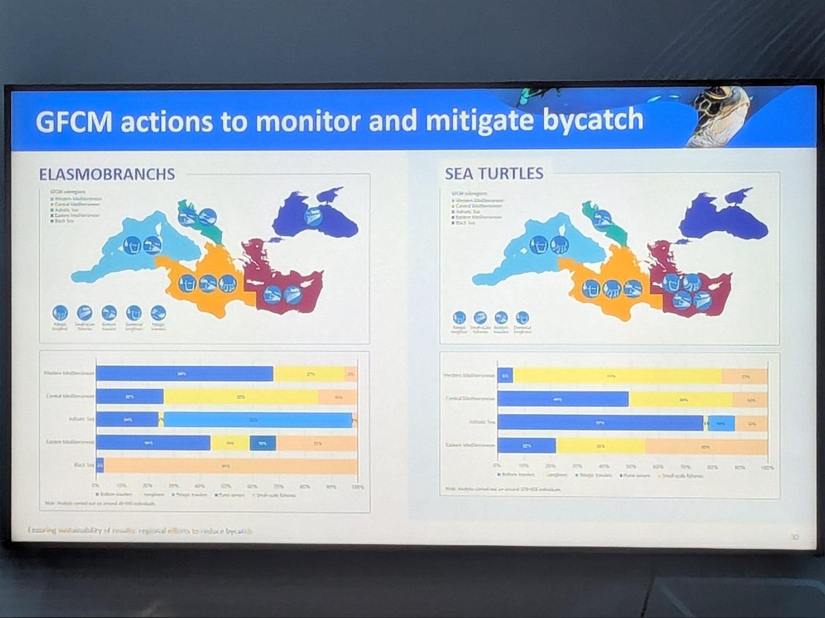 Matt 🌊 tweet media